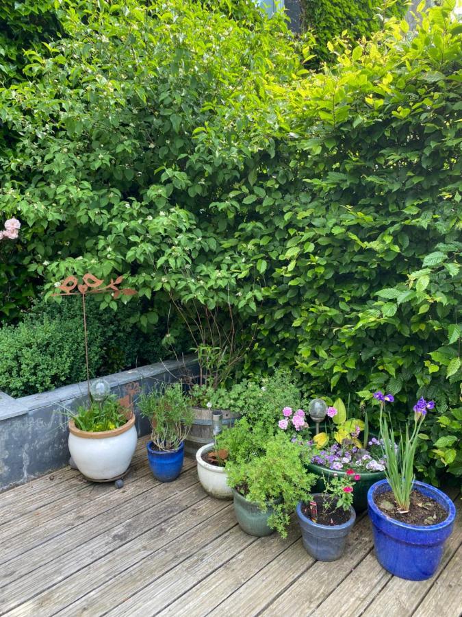 B&B La Ferme Du Doux Libramont-Chevigny Eksteriør billede