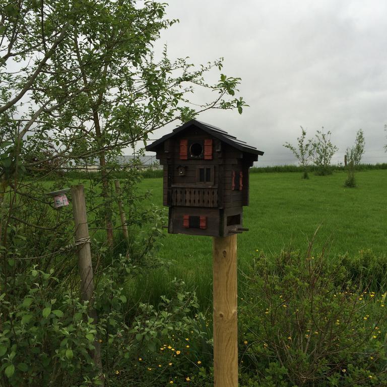 B&B La Ferme Du Doux Libramont-Chevigny Eksteriør billede
